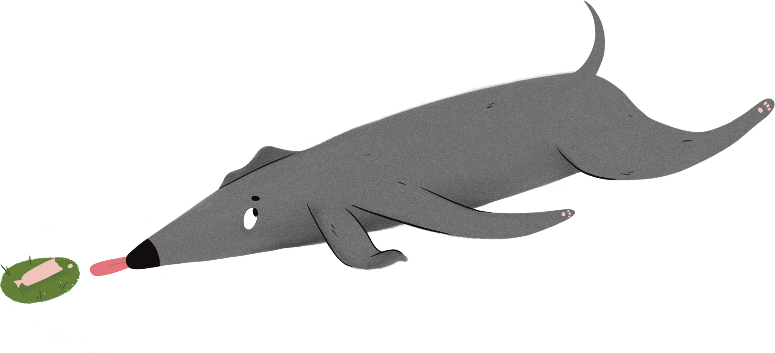 Интенсив «Как отучить собаку подбирать пищевой мусор?»